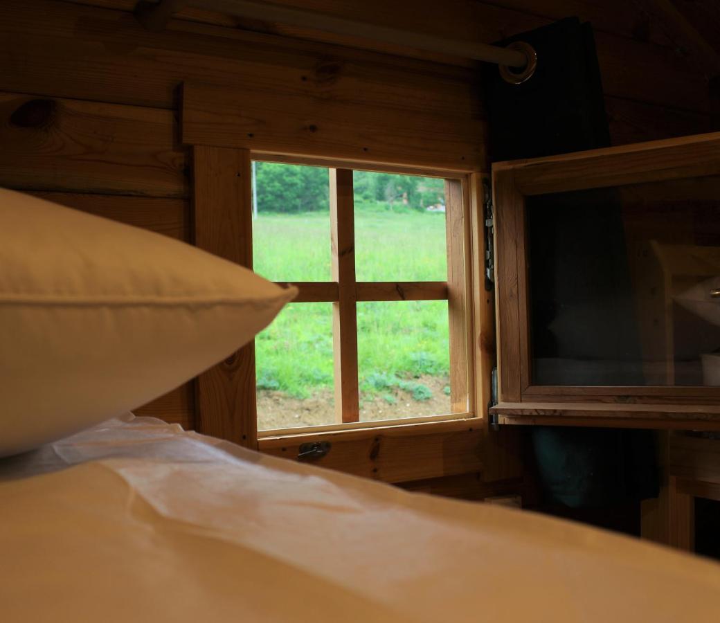 Chalet Ariegeois Saint-Ybars 外观 照片