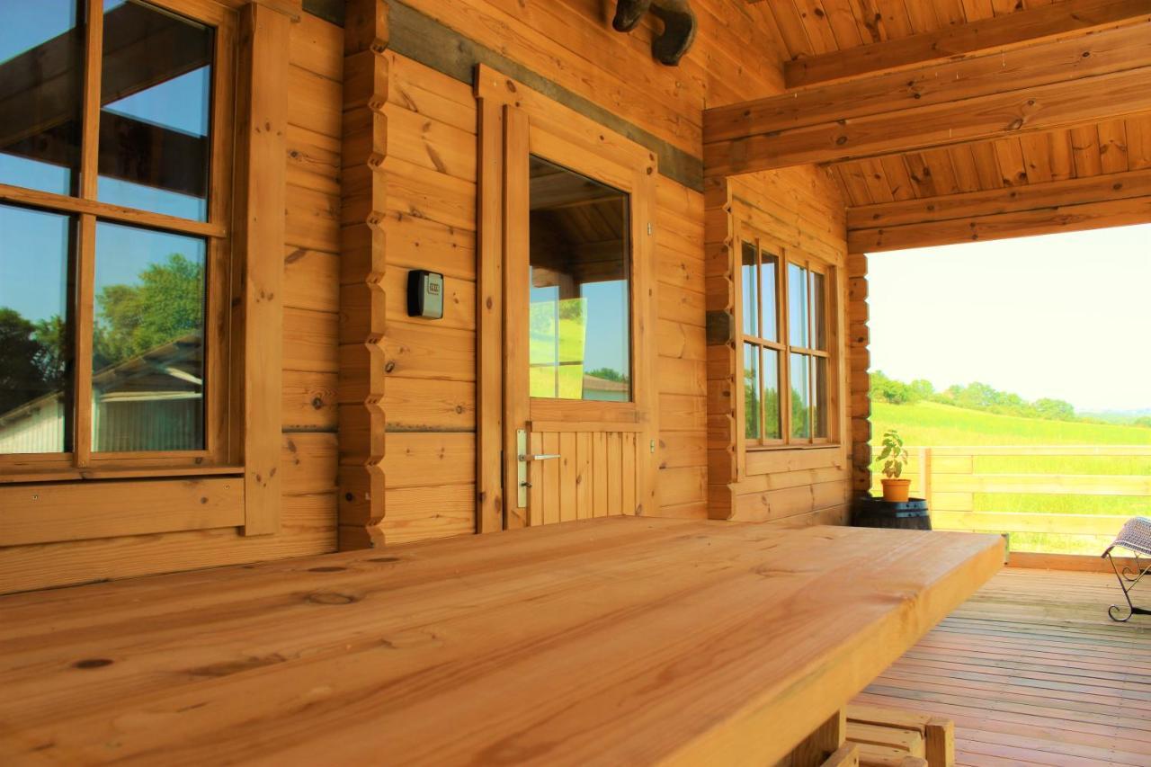 Chalet Ariegeois Saint-Ybars 外观 照片