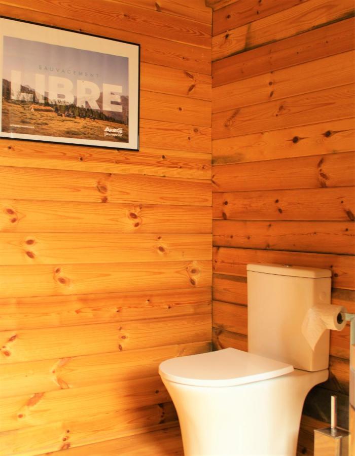 Chalet Ariegeois Saint-Ybars 外观 照片